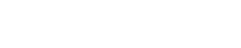 Vorboss